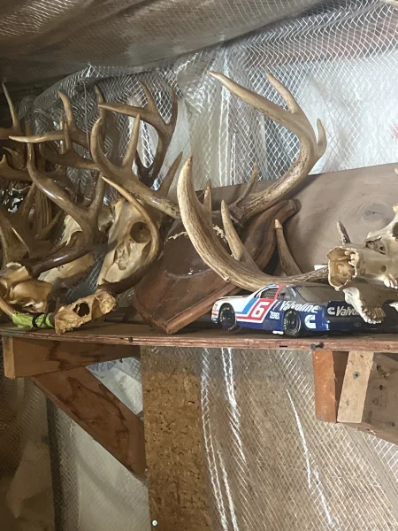 The #1 Commission-Free Antler Marketplace - AntlerSheds.com