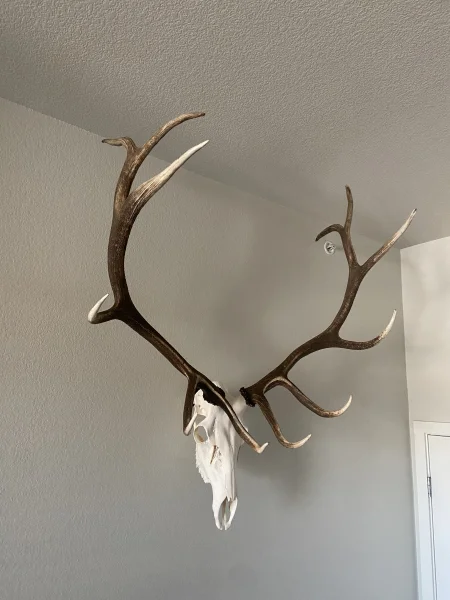 The #1 Commission-Free Antler Marketplace - AntlerSheds.com