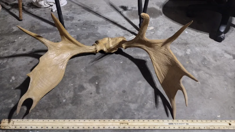 The #1 Commission-Free Antler Marketplace - AntlerSheds.com