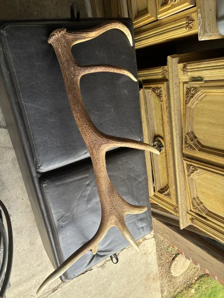 The #1 Commission-Free Antler Marketplace - AntlerSheds.com