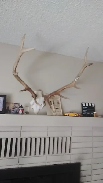 The #1 Commission-Free Antler Marketplace - AntlerSheds.com