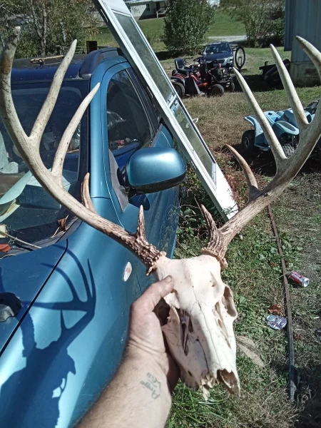 The #1 Commission-Free Antler Marketplace - AntlerSheds.com