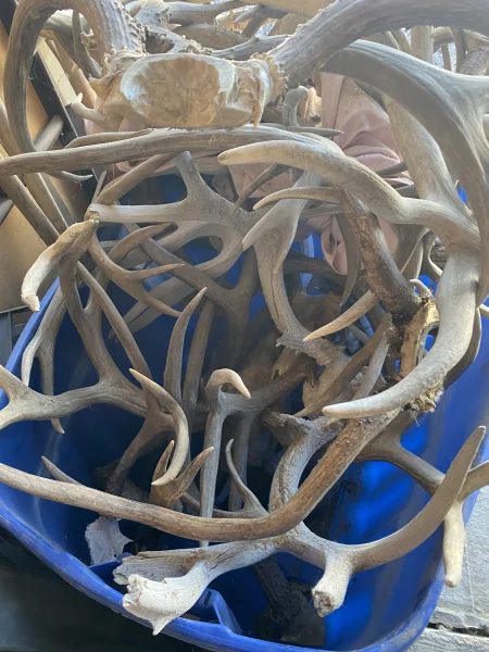 The #1 Commission-Free Antler Marketplace - AntlerSheds.com