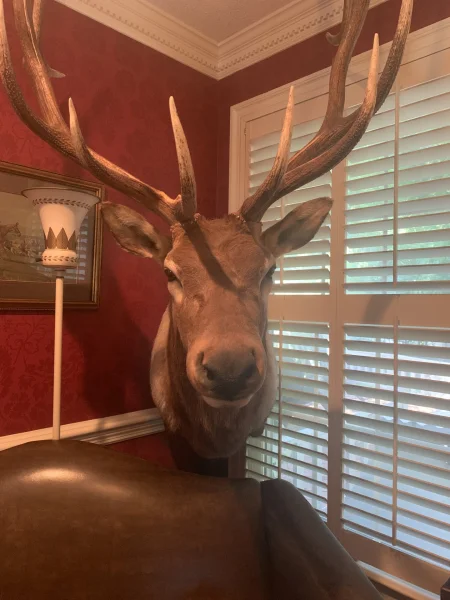 The #1 Commission-Free Antler Marketplace - AntlerSheds.com