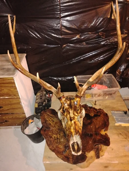 The #1 Commission-Free Antler Marketplace - AntlerSheds.com