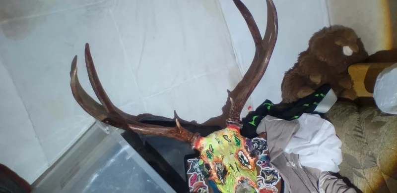 The #1 Commission-Free Antler Marketplace - AntlerSheds.com