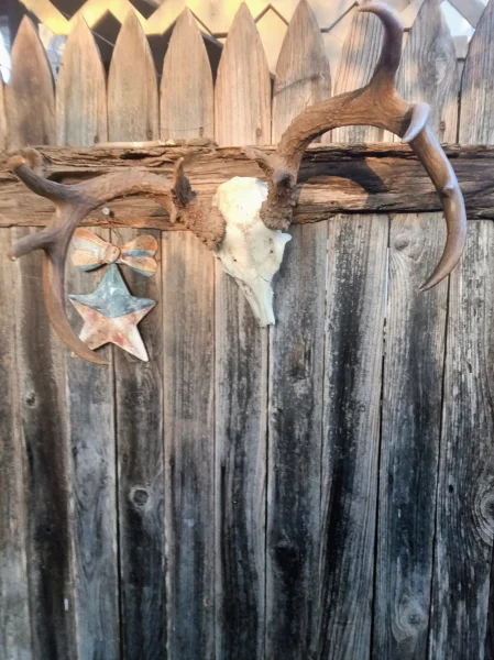 The #1 Commission-Free Antler Marketplace - AntlerSheds.com