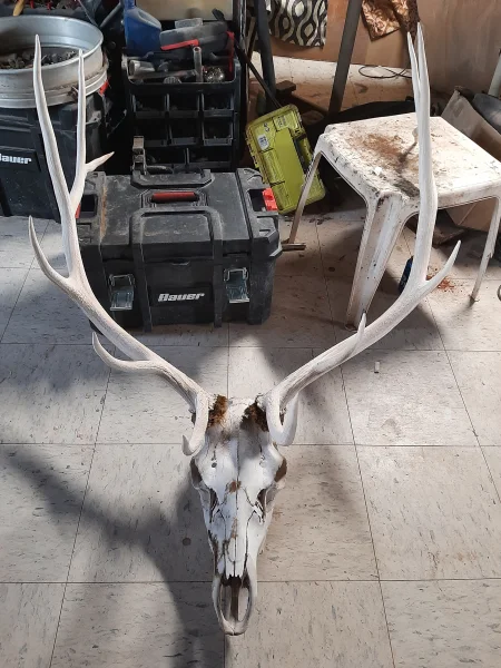 The #1 Commission-Free Antler Marketplace - AntlerSheds.com