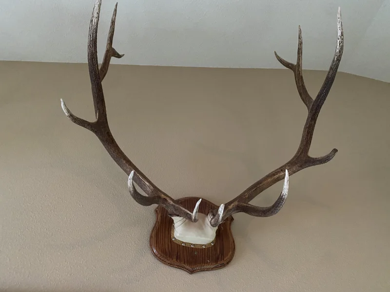 The #1 Commission-Free Antler Marketplace - AntlerSheds.com