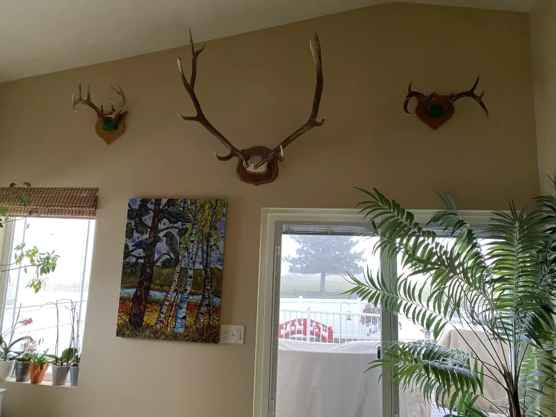 The #1 Commission-Free Antler Marketplace - AntlerSheds.com