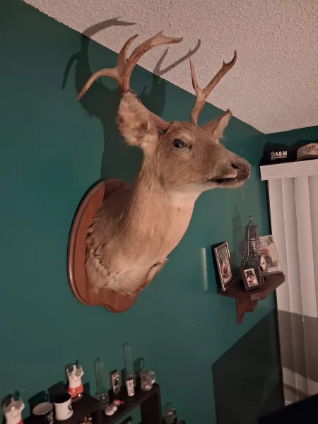 The #1 Commission-Free Antler Marketplace - AntlerSheds.com