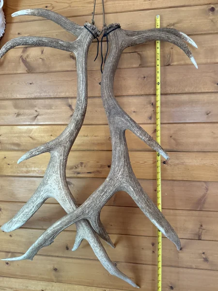 The #1 Commission-Free Antler Marketplace - AntlerSheds.com