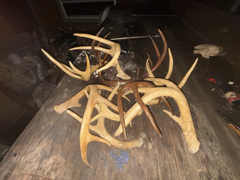 The #1 Commission-Free Antler Marketplace - AntlerSheds.com