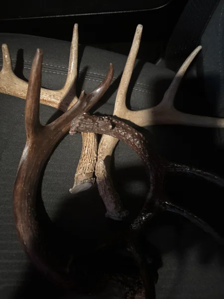 The #1 Commission-Free Antler Marketplace - AntlerSheds.com