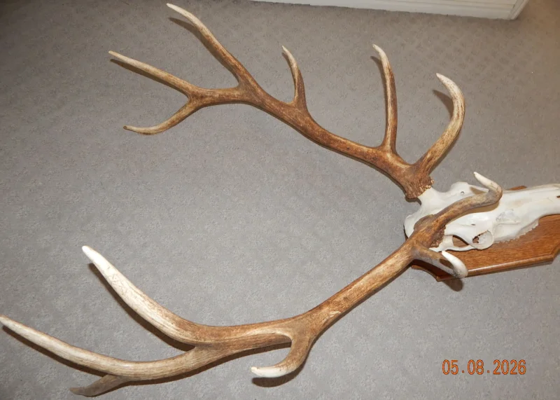 The #1 Commission-Free Antler Marketplace - AntlerSheds.com