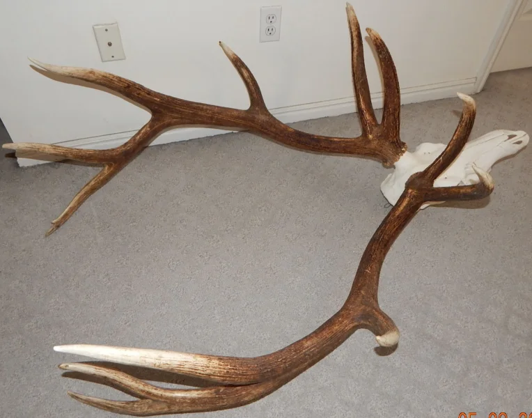 The #1 Commission-Free Antler Marketplace - AntlerSheds.com