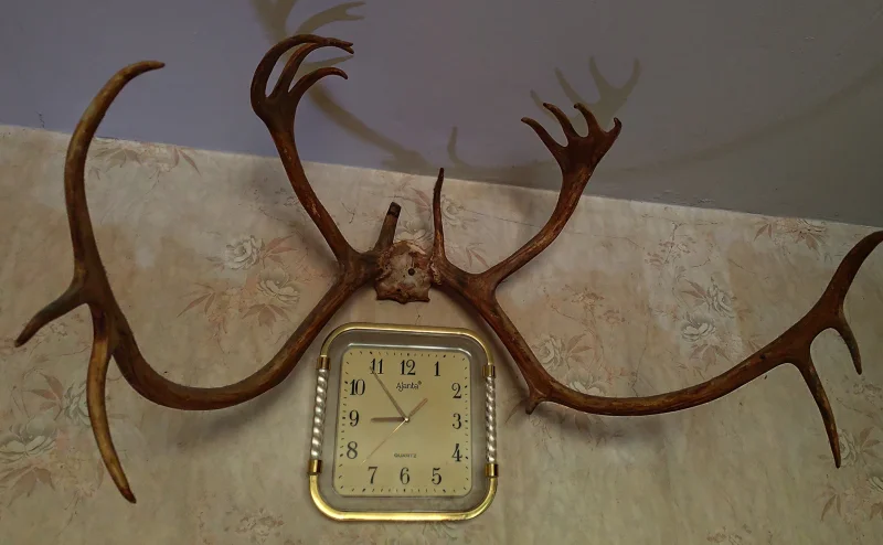 The #1 Commission-Free Antler Marketplace - AntlerSheds.com