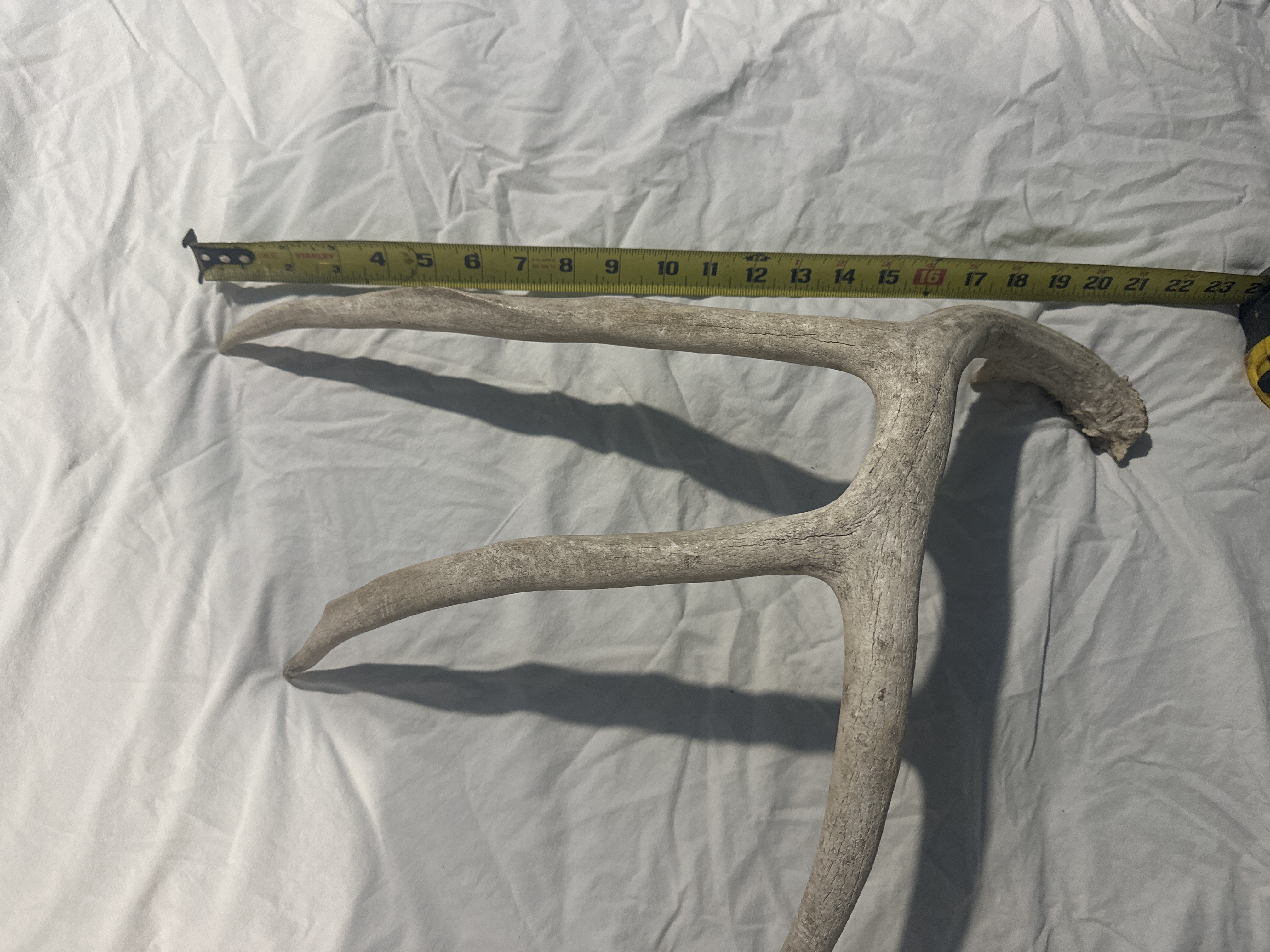 Antler Shed Image