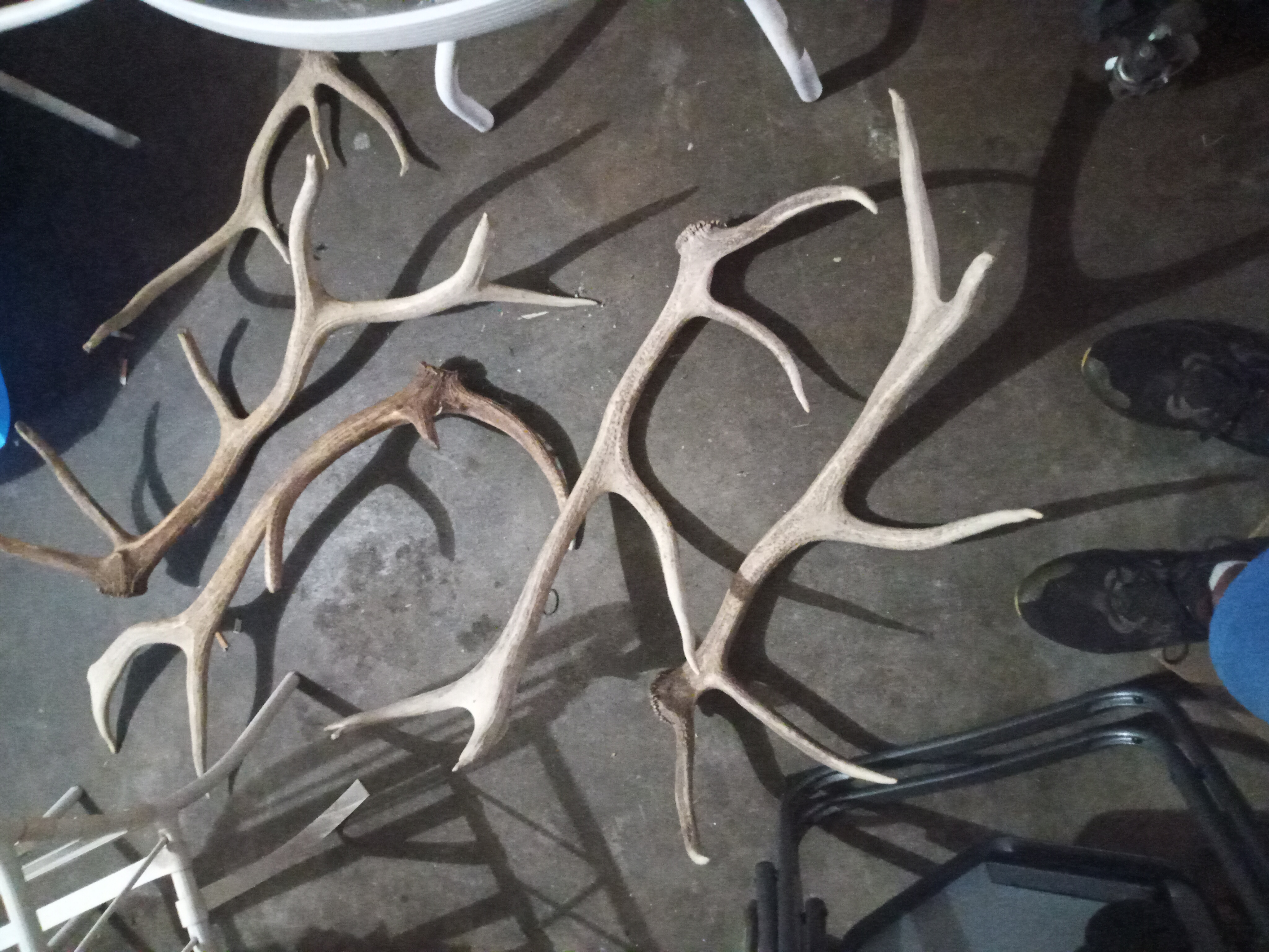 AntlerSheds.Com